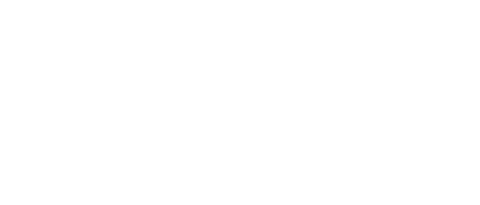 Shopify Web Development
