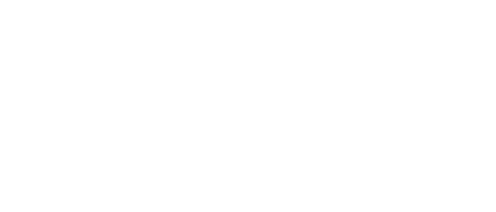 Webflow Web Development