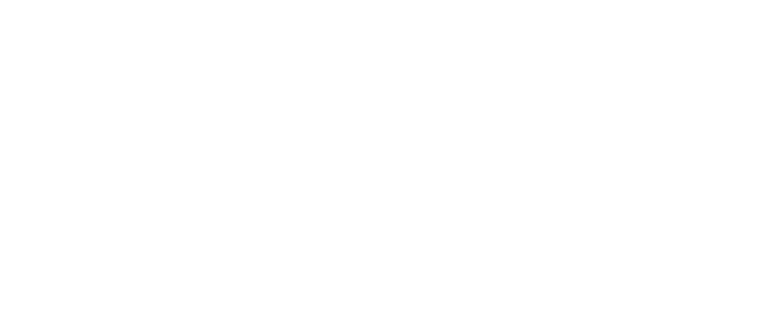 WordPress Web Development